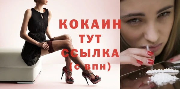 spice Осинники