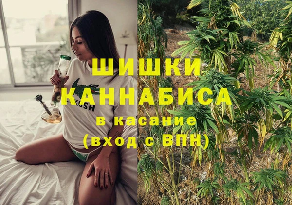 spice Осинники