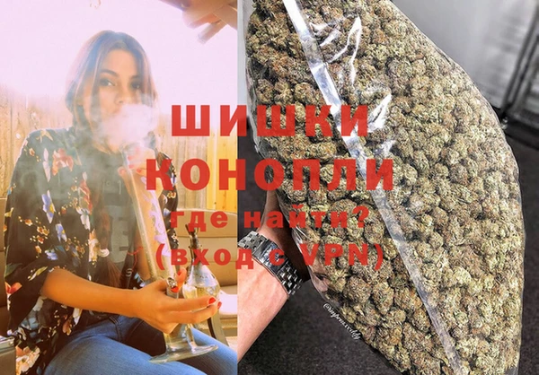 spice Осинники