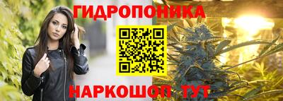 ПСИЛОЦИБИНОВЫЕ ГРИБЫ Кинель