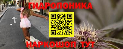 кокаин колумбия Кингисепп