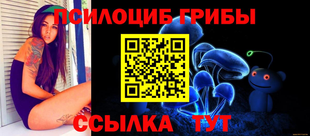 Чита  Галлюциногенные грибы мицелий  Галлюциногенные грибы мицелий  Вход с VPN 